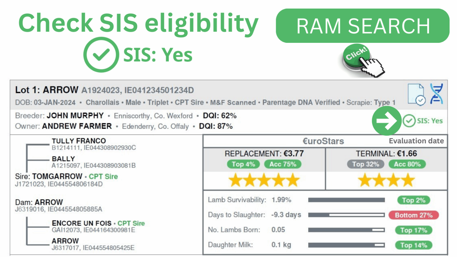 SIS Year 3 - Genotyped Ram Action. Check rams' eligibility - Sheep Ireland