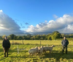 Read more about the article FBD LambPlus Award Nominees 2024 – Edmond & Paul O’ Gorman