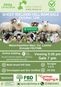 Read more about the article This Friday 11th! Sheep Ireland’s Multi-breed Hill Ram sale 2024. Download catalogue.