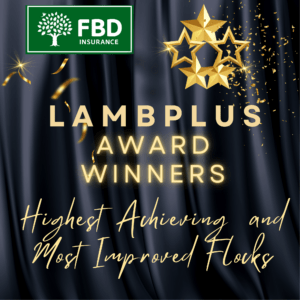 Read more about the article 2024 LambPlus Award Winners
