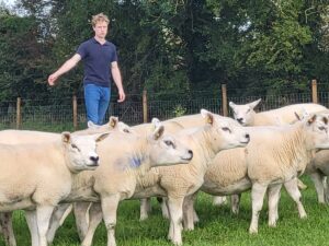 Read more about the article FBD LambPlus Award Nominees 2024 – Michael & Kenneth Bird