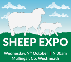 Read more about the article Sheep Expo 2024 will take place tomorrow!