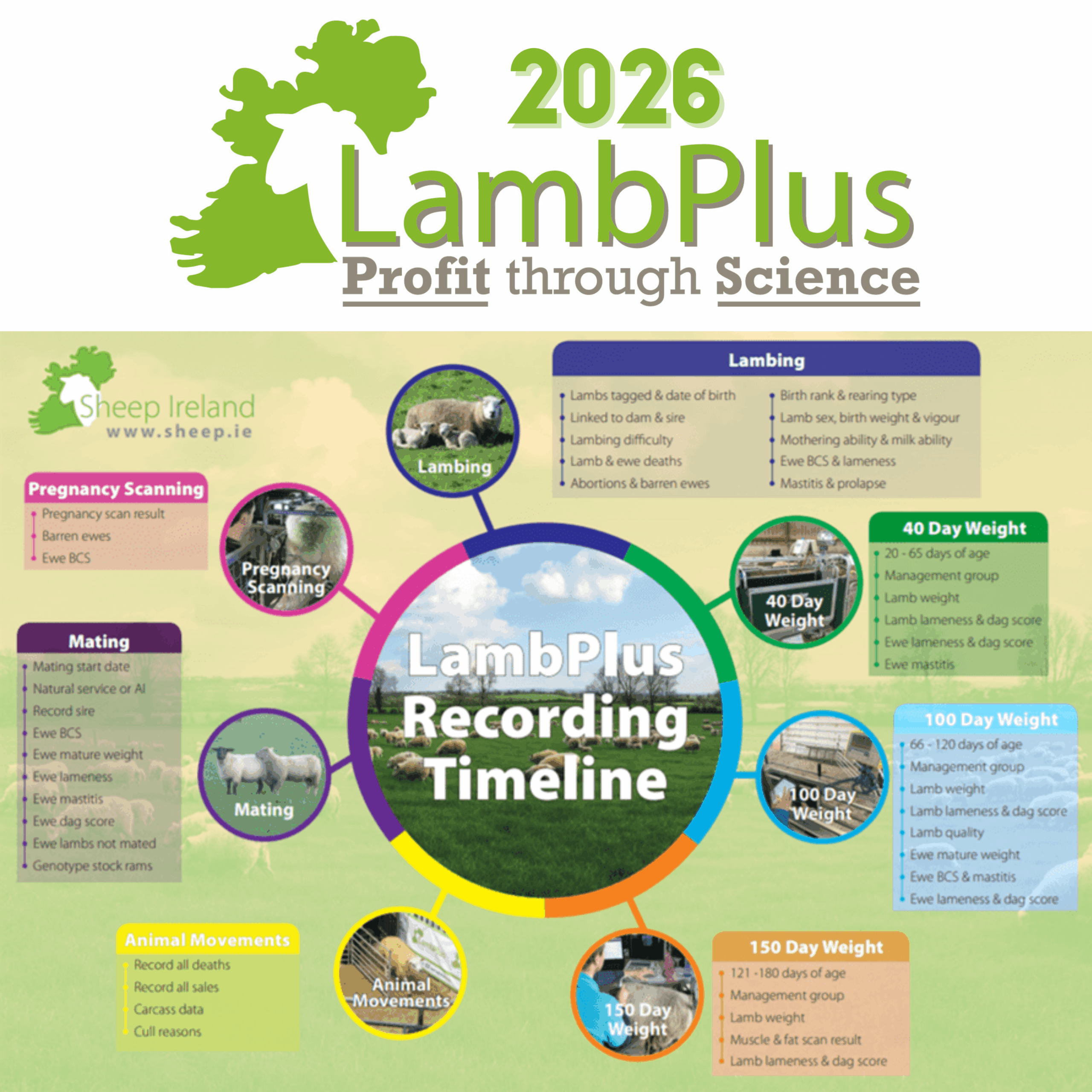You are currently viewing LambPlus Recording Timeline