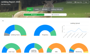 Read more about the article Check our new Lambing report!