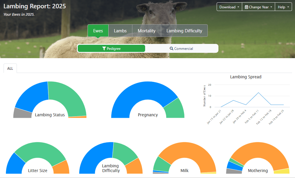 You are currently viewing Check our new Lambing report!