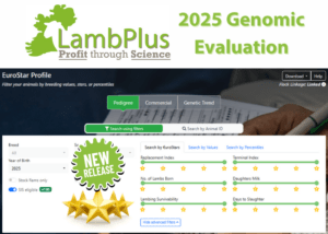 First Release of the 2025 Genomic Evaluation