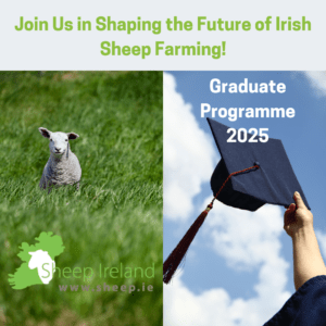 Last call! Sheep Ireland Graduate Programme 2025