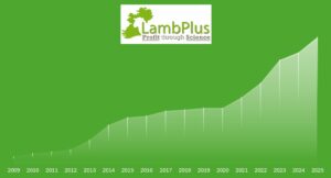 LambPlus programme members continued rising in 2025!