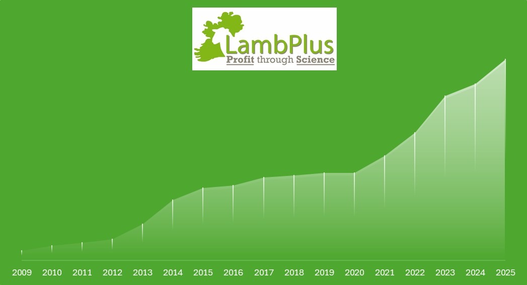 You are currently viewing LambPlus programme members continued rising in 2025!