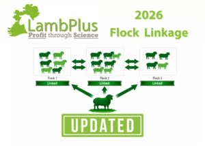 Linkage status for 2026 season is now updated