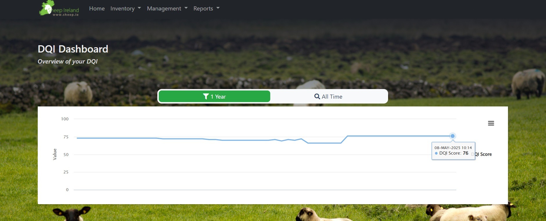 You are currently viewing DQI Dashboard Upgrade!