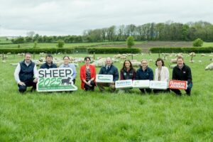 Read more about the article Sheep 2025 Open Day
