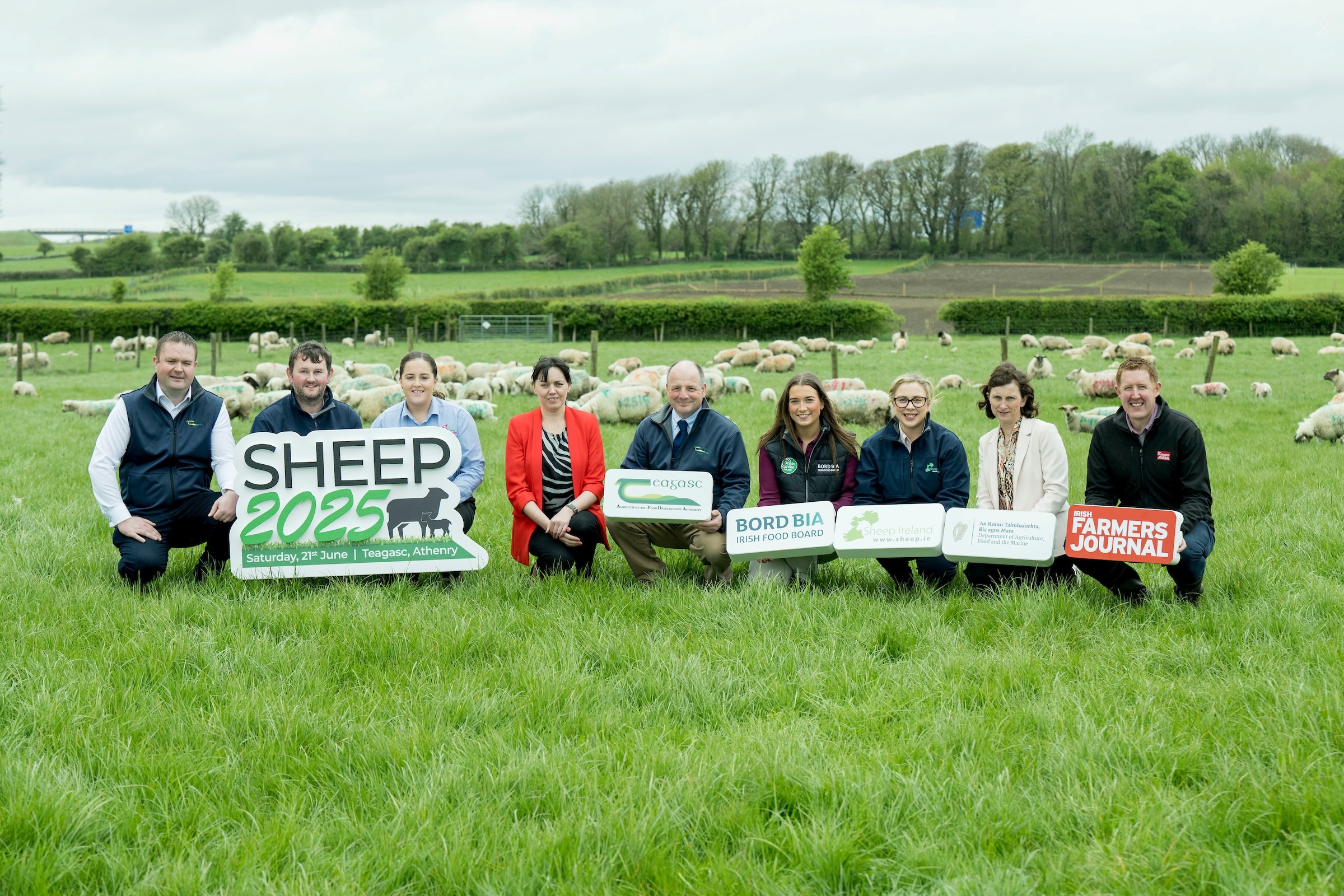 You are currently viewing Sheep 2025 Open Day