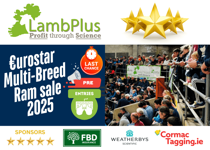 You are currently viewing Pre Entries for the 2025 Elite €uroStar Multi-Breed Ram sale closing Friday, 27th!