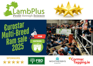 Pre Entries now open for the 2025 Elite €uroStar Multi-Breed Ram sale!