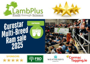Read more about the article ENTRIES OPEN: Sheep Ireland Elite €urostar Multi-Breed Ram Sale 2025