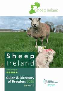 Read more about the article Sheep Ireland Guide & Directory of Breeders 2025