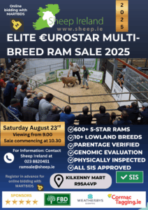 Provisional Catalogue: 2025 Elite €uro-Star Multi-Breed Ram Sale