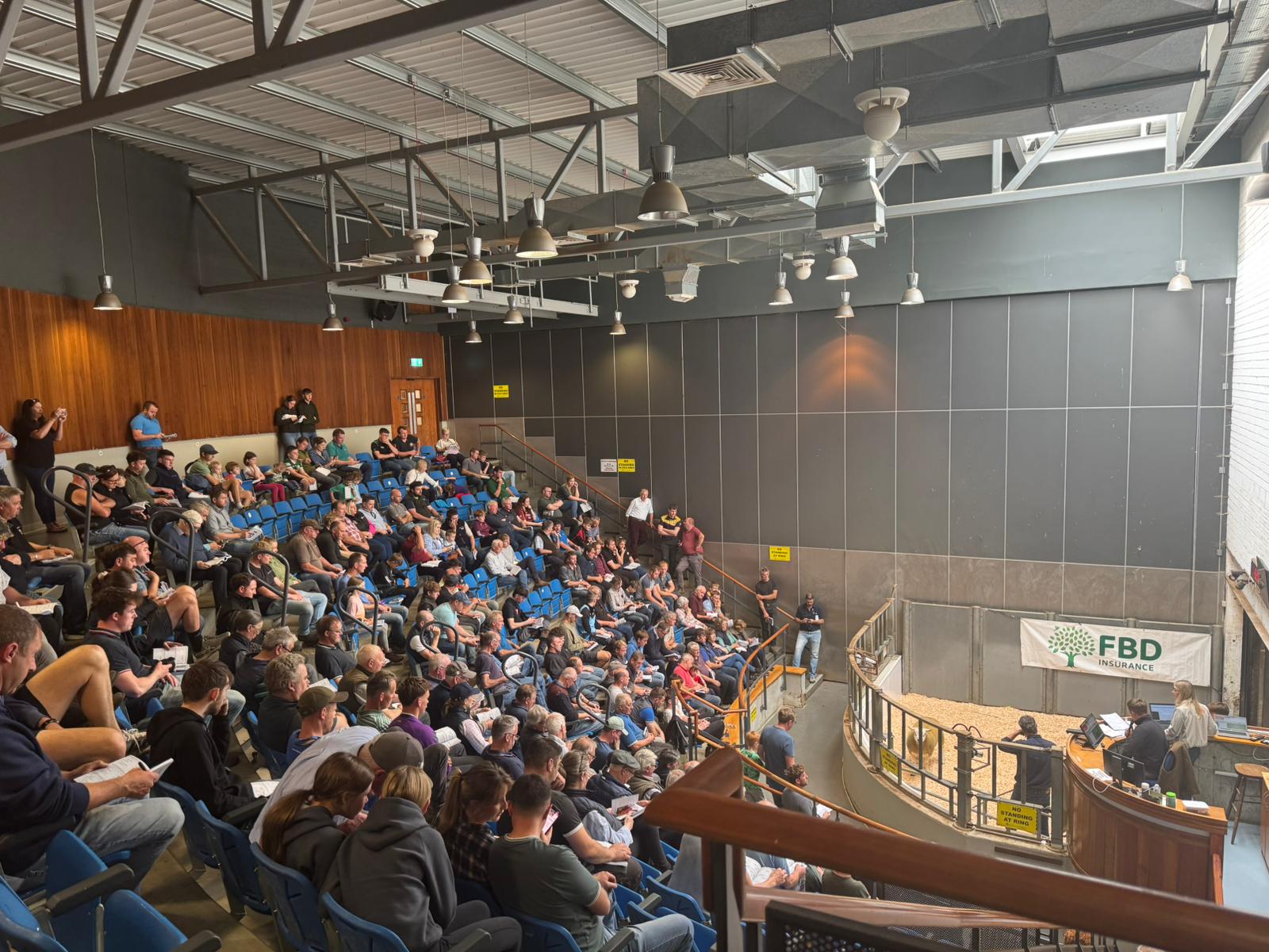 You are currently viewing Sheep Ireland’s €urostar Multibreed Sale Report 2025