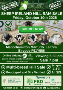 Read more about the article Entries open for Sheep Ireland Multi-Breed Hill Ram Sale 2025