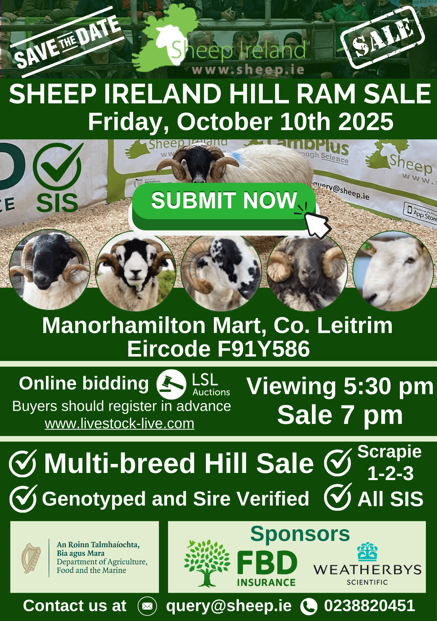 You are currently viewing Entries open for Sheep Ireland Multi-Breed Hill Ram Sale 2025