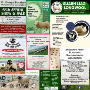Read more about the article Hill Ram Sales 2025 calendar