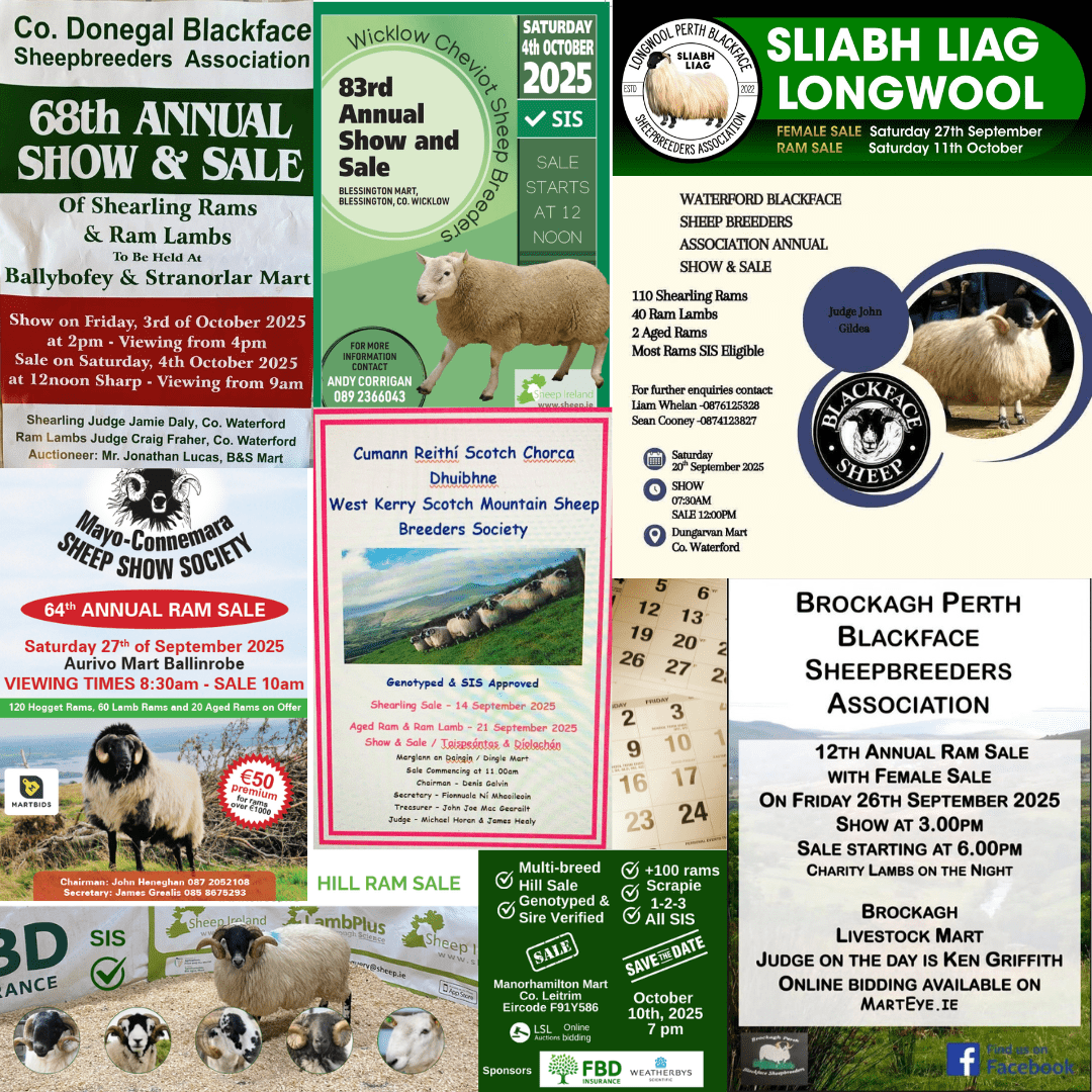 You are currently viewing Hill Ram Sales 2025 calendar