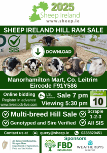 Read more about the article Download the catalogue now! Sheep Ireland Multi-Breed Hill Ram Sale 2025