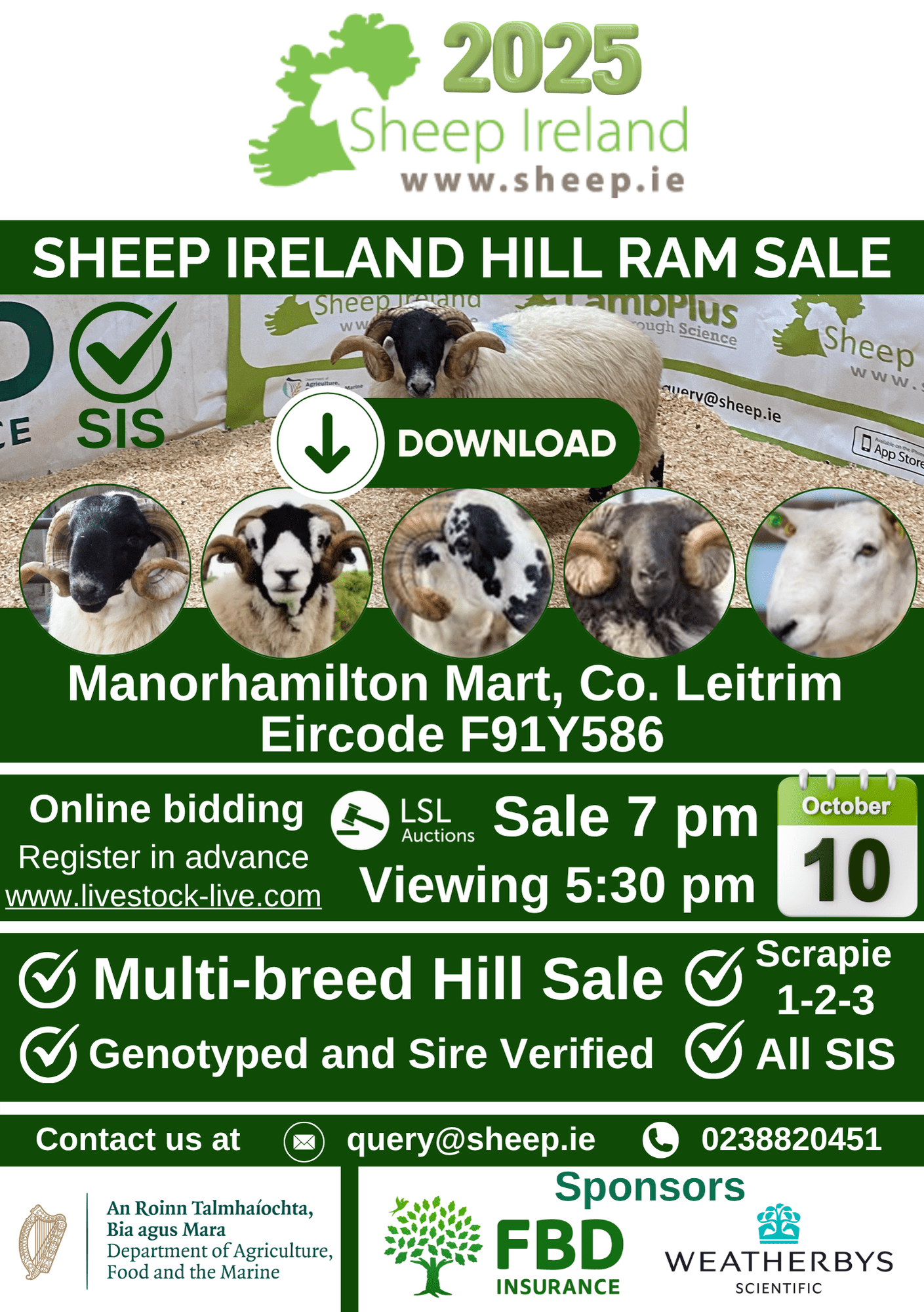 You are currently viewing Download the catalogue now! Sheep Ireland Multi-Breed Hill Ram Sale 2025