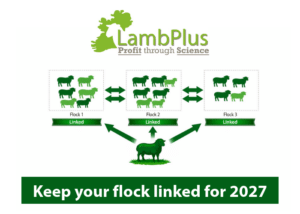 Read more about the article Linkage status for 2027 season