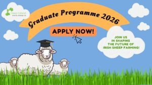 Read more about the article Sheep Ireland Graduate Programme 2026 open now!