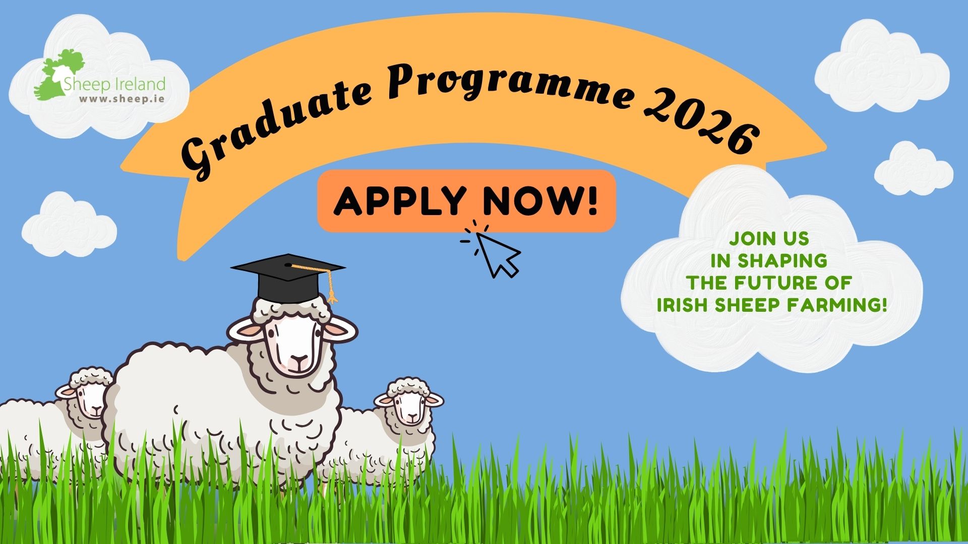 You are currently viewing Sheep Ireland Graduate Programme 2026 open now!