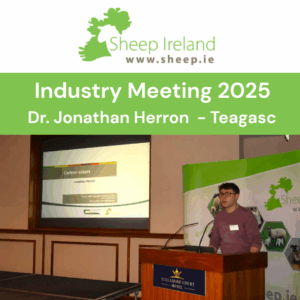 Read more about the article Sheep Ireland Industry Meeting – Carbon Values