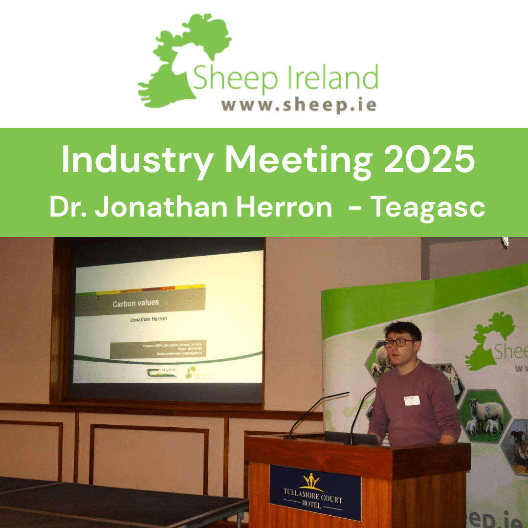 You are currently viewing Sheep Ireland Industry Meeting – Carbon Values