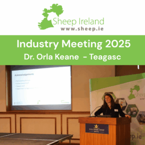 Sheep Ireland Industry Meeting – OviFEC: Developing genetic parameters for worm resistance in sheep