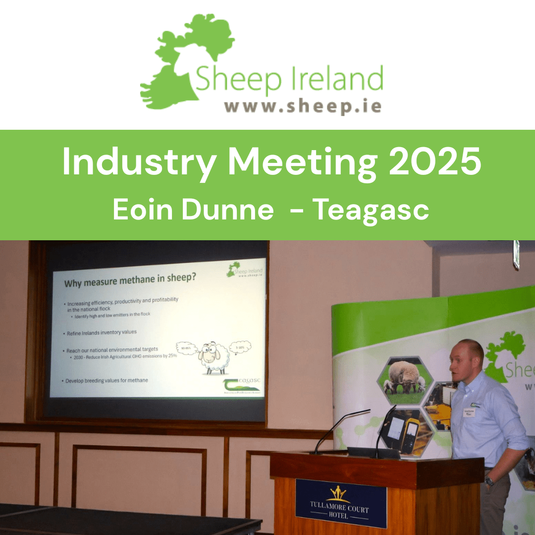 You are currently viewing Sheep Ireland Industry Meeting – Collection of Enteric Methane Data
