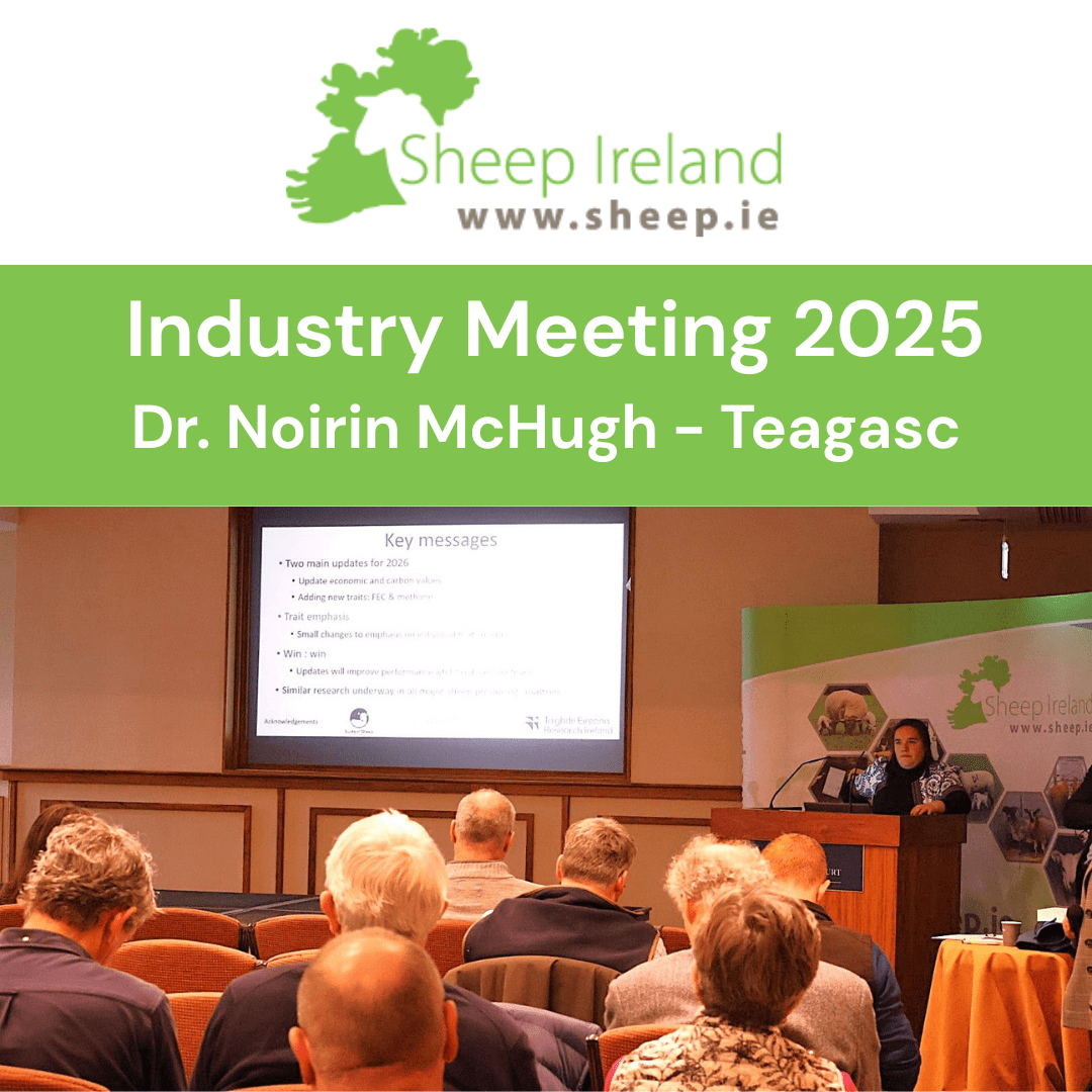You are currently viewing Sheep Ireland Industry Meeting – Updates for the 2026 €uroStars Evaluations