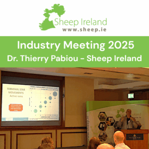 Read more about the article Sheep Ireland Industry Meeting – 2026 Genetic Evaluation & Star Ratings