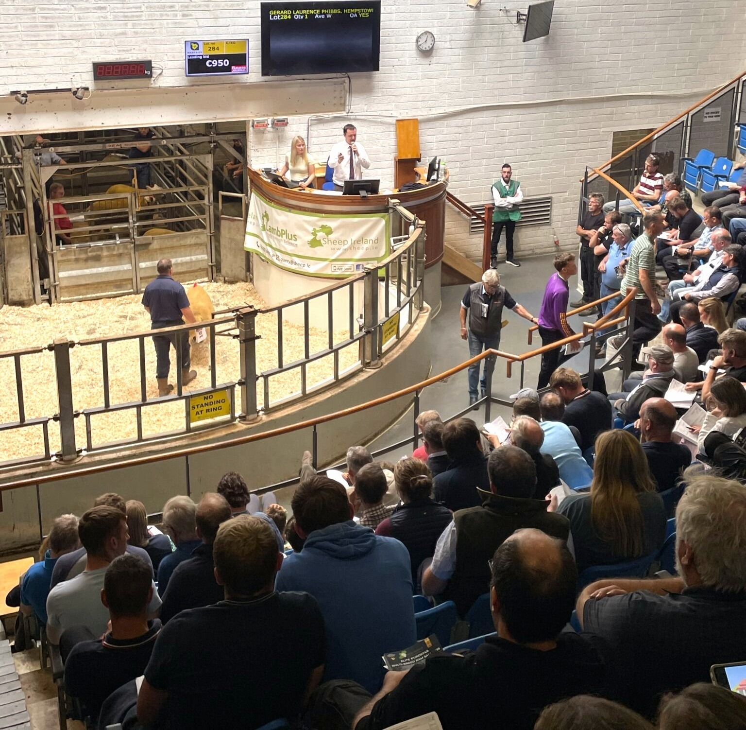 You are currently viewing Sheep Ireland 2026 Elite €uroStar Multi-Breed Ram sale