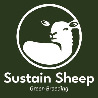 You are currently viewing Sustainable Sheep Made Simple: The Latest from the Sustain Sheep Project