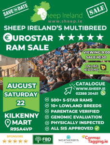 Read more about the article Save the date! Sheep Ireland 2026 Elite €uroStar Multi-Breed Ram sale