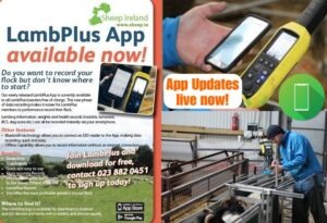 Read more about the article Updates to Sheep Ireland’s LambPlus App!