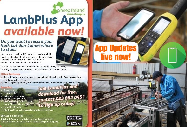 You are currently viewing Updates to Sheep Ireland’s LambPlus App!