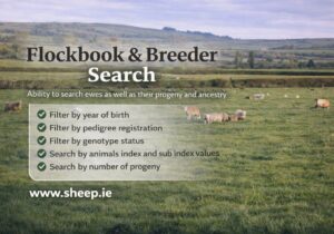 Read more about the article Online Flockbook & Breeder Search