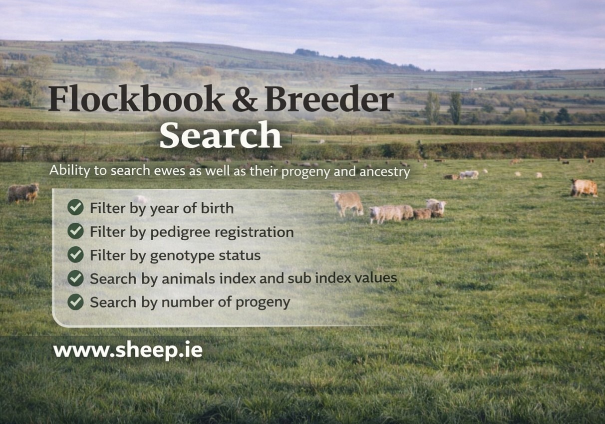 You are currently viewing Online Flockbook & Breeder Search