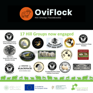 Read more about the article What is the Oviflock EIP project and how to join?