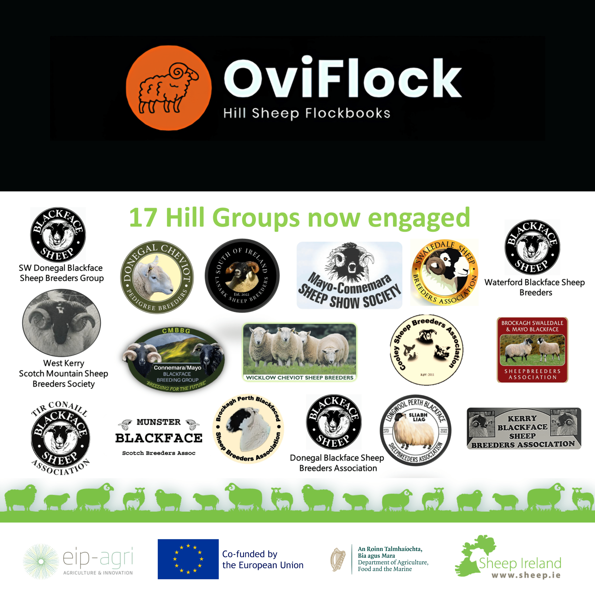 You are currently viewing What is the Oviflock EIP project and how to join?