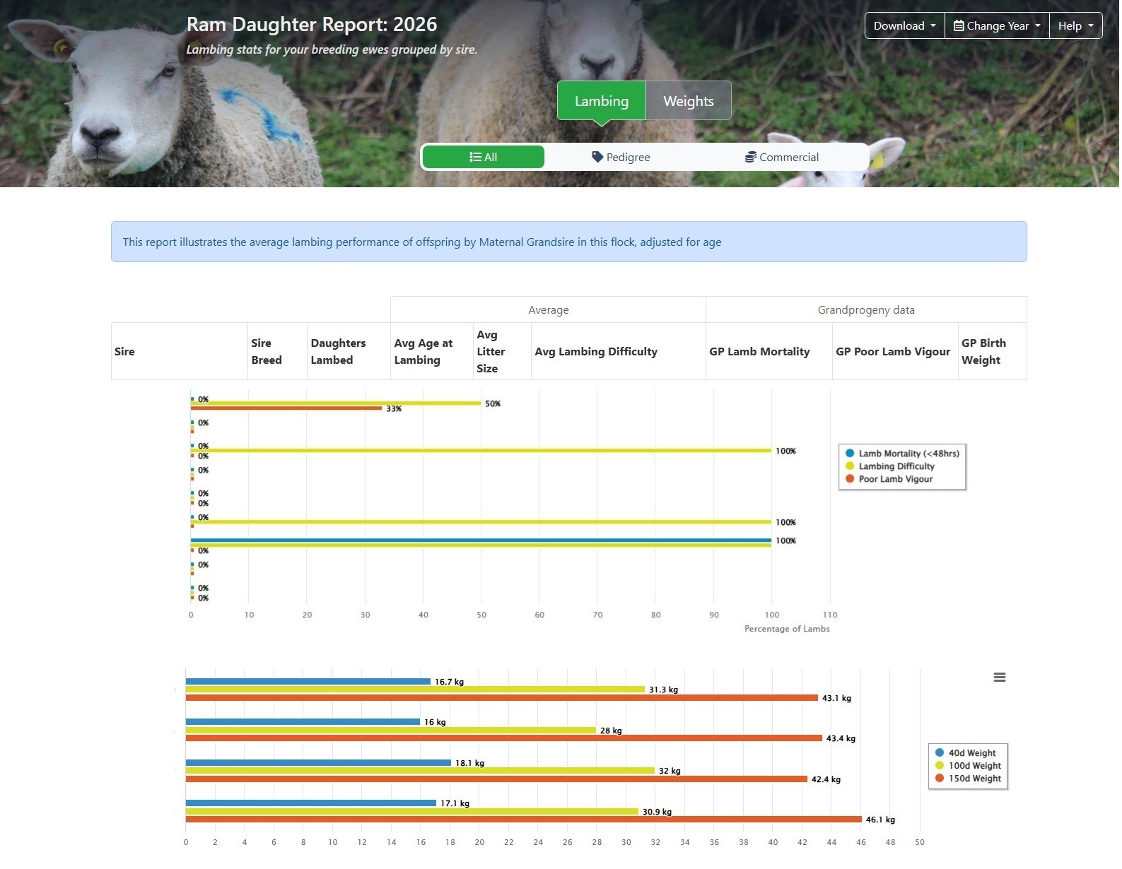 You are currently viewing Check the new Ram Daughter report!