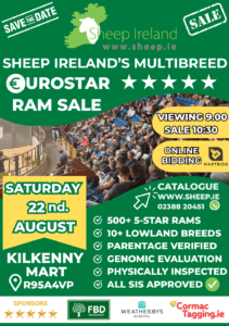 Read more about the article Countdown for the Sheep Ireland 2026 Elite €uroStar Multi-Breed Ram sale!