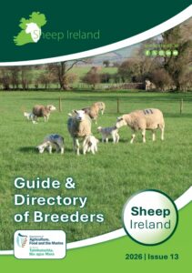Read more about the article Sheep Ireland Guide & Directory of Breeders 2026